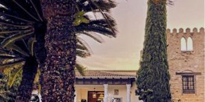 las palmeras del brillante